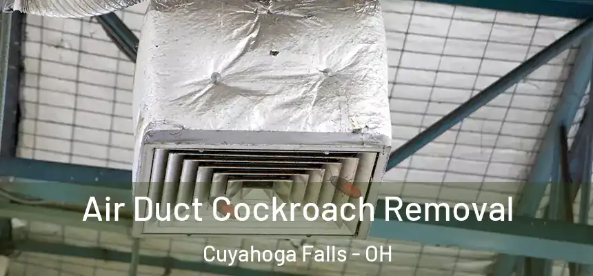 Air Duct Cockroach Removal Cuyahoga Falls - OH
