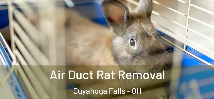 Air Duct Rat Removal Cuyahoga Falls - OH