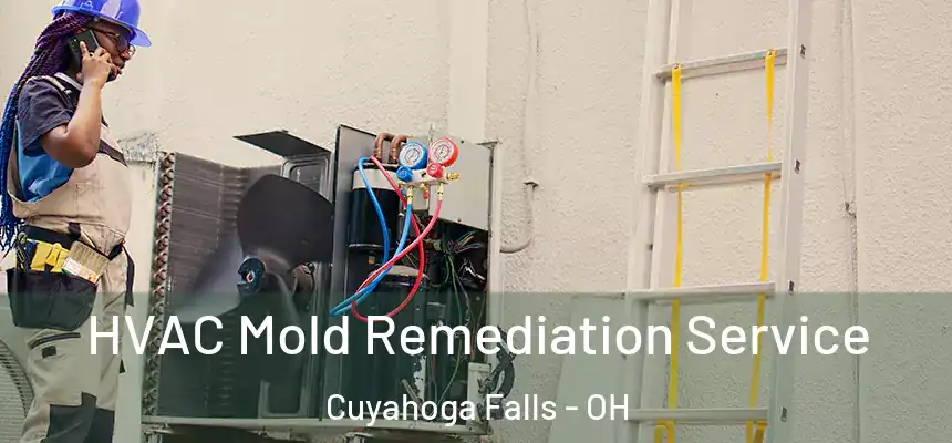 HVAC Mold Remediation Service Cuyahoga Falls - OH