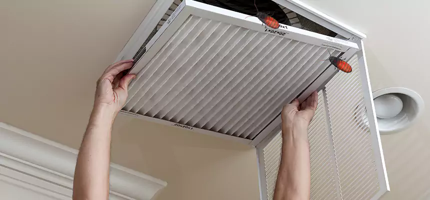 Preventive Cockroach-Proofing for Ducts in Cuyahoga Falls