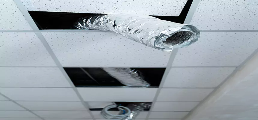 Our Air Duct Pet Hair Removal Services in Cuyahoga Falls, OH