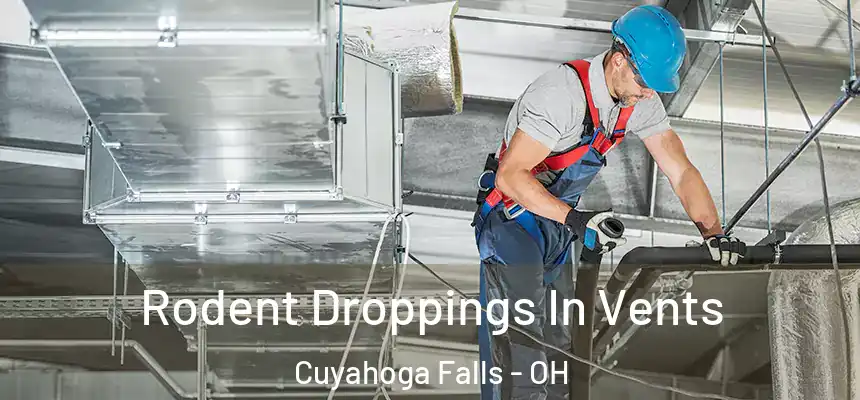 Rodent Droppings In Vents Cuyahoga Falls - OH
