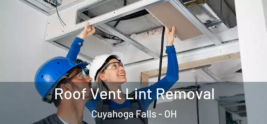 Roof Vent Lint Removal Cuyahoga Falls - OH