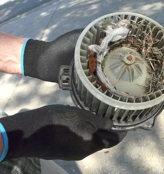 About Air Duct Rat Removal in Cuyahoga Falls, OH