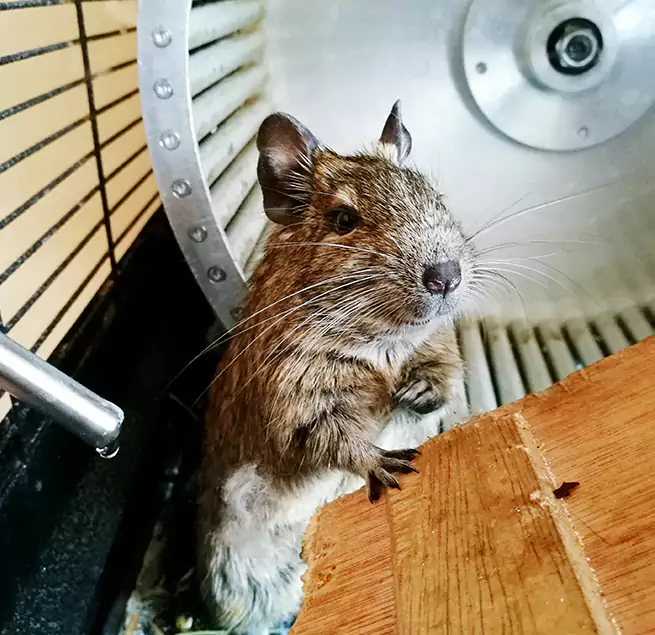 Why Homeowners & Businesses Trust Us Cuyahoga Falls, OH